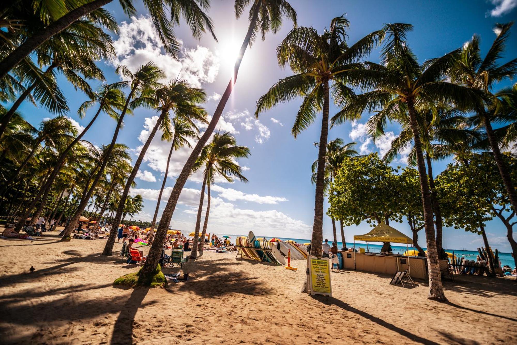 Diamond Head View Close To Waikiki Beach With Parking Honolulu Exterior foto